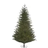 Baum Frasier Fir Grun, 215 Cm