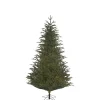 Baum Frasier Fir Grun, 185 Cm