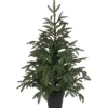 Baum Frasier Fir Grun, 100 Cm