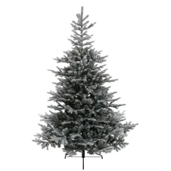 Baum Grandis Fir Beschneit, 150 Cm