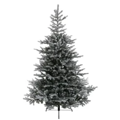 Baum Grandis Fir Beschneit, 120 Cm