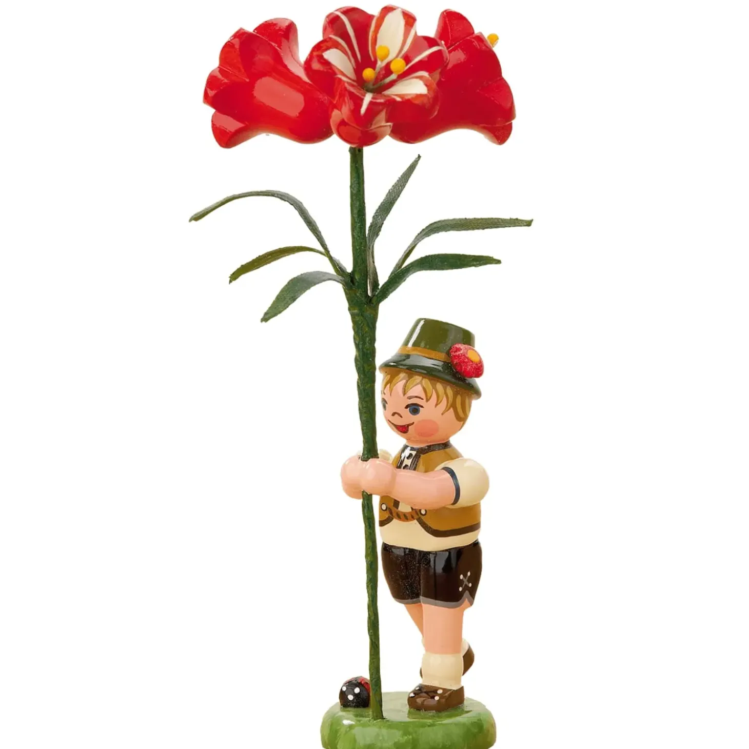 Blumenkinder Amaryllis