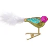 Glasvogel Bunt/Grun