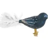 Glasvogel Dunkelblau