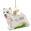 West Highland Terrier (Westie)